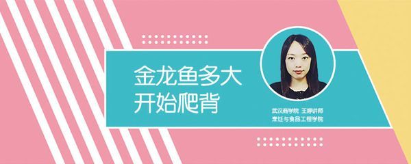 金龍魚爬鱗爬到多少厘米算正常【金龍魚爬鱗多少厘米算正常】