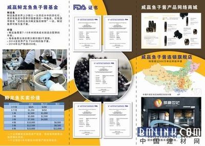 龍魚美容師去哪找：如何成為龍魚美容師