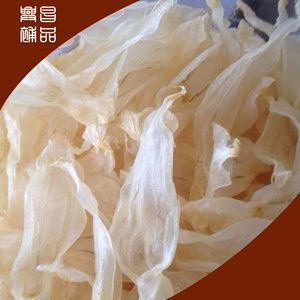 龍魚美容師去哪找：如何成為龍魚美容師