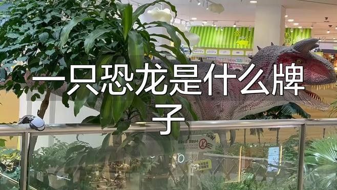 龍形擺件有哪些知名品牌？