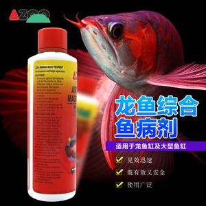 龍魚爛鰭爛尾的藥物治療（龍魚爛鰭爛尾怎么辦）