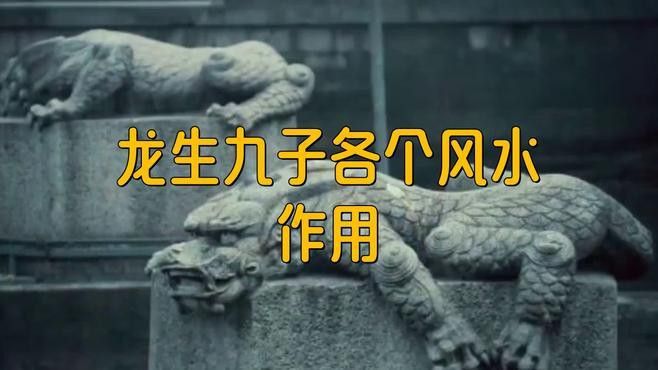 詳細閱讀:《地師》和《風水龍生》有何不同? 《地師》和《風水龍生》有何不同?