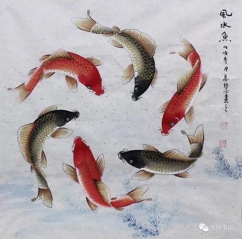 風水魚圖片大全大圖