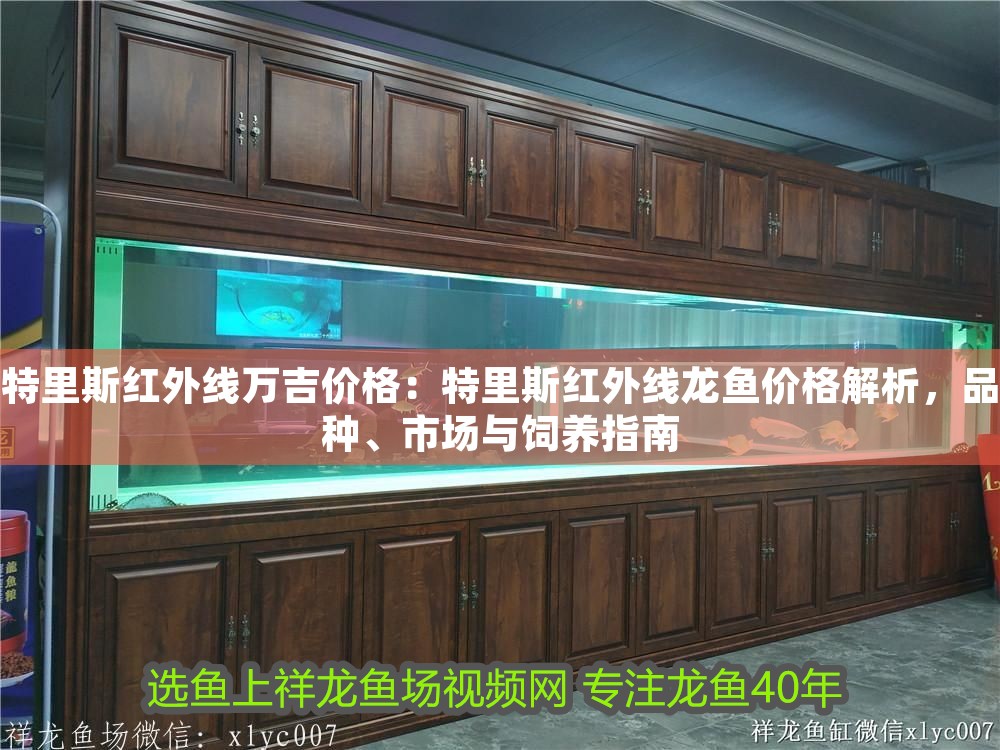特里斯紅外線萬吉價格：特里斯紅外線龍魚價格解析，品種、市場與飼養指南