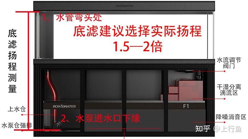 如何選擇適合龍魚的水泵？