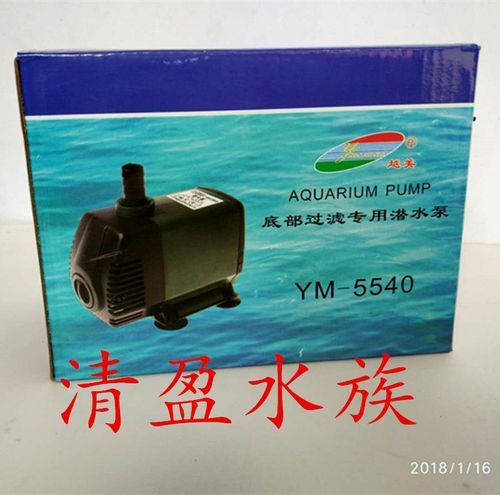 如何選擇適合龍魚的水泵？