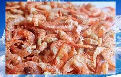 金龍魚吃干蝦總吐出來：金龍魚吃干蝦總吐出來怎么辦？