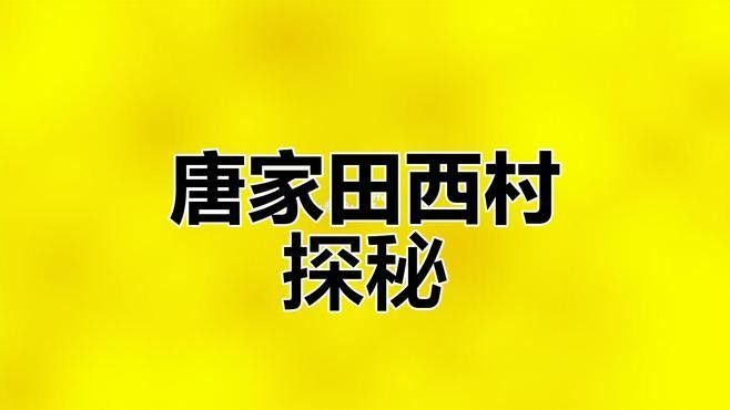 雷龍村（龍仔村）有哪些特色？