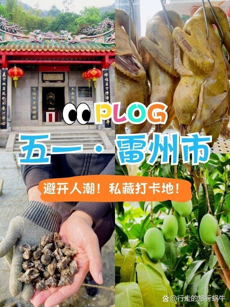 雷龍村（龍仔村）有哪些特色？