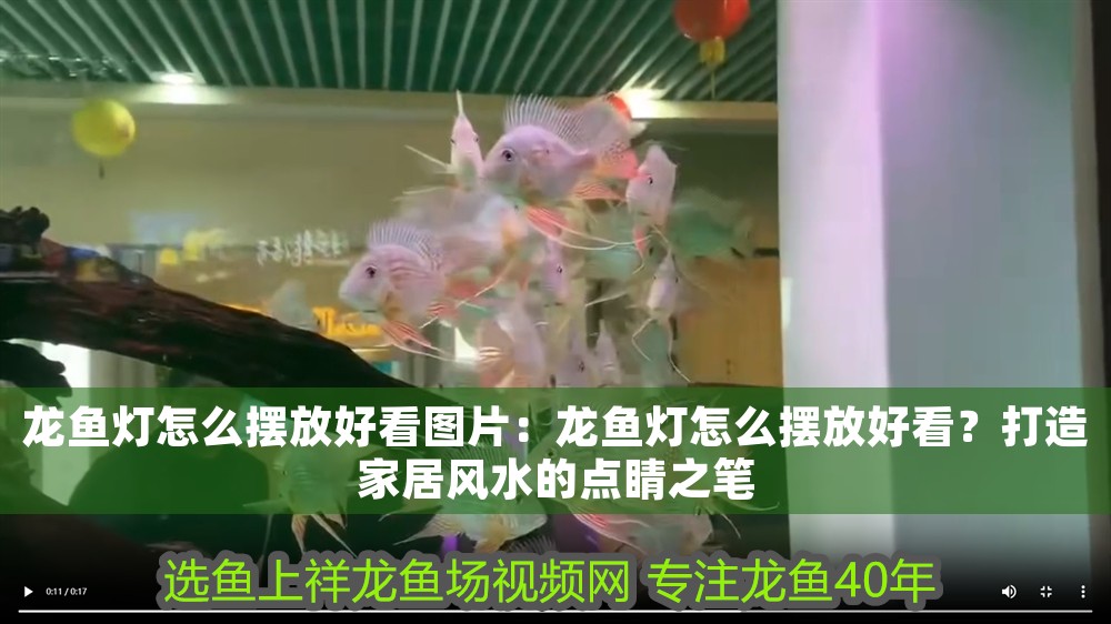 龍魚燈怎么擺放好看圖片：龍魚燈怎么擺放好看？打造家居風水的點睛之筆