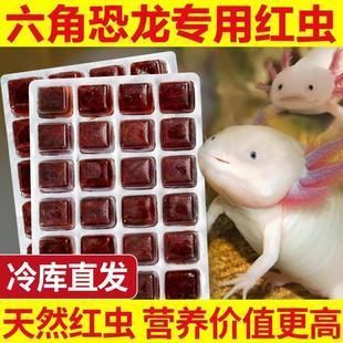 六角恐龍魚飼料可以喂金魚嗎，六角恐龍魚飼料喂金魚的風(fēng)險(xiǎn)