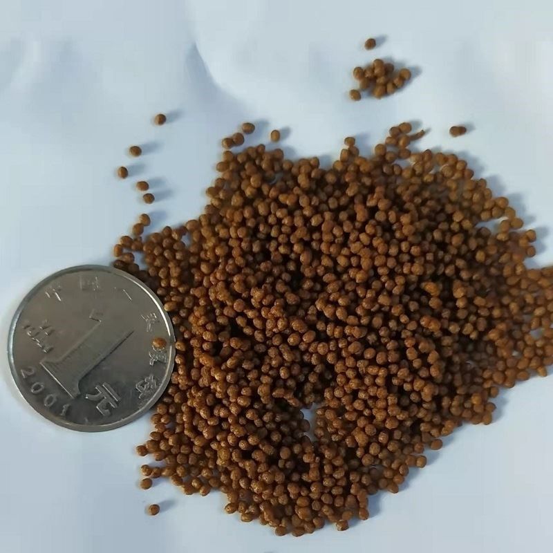 六角恐龍魚飼料可以喂金魚嗎，六角恐龍魚飼料喂金魚的風險