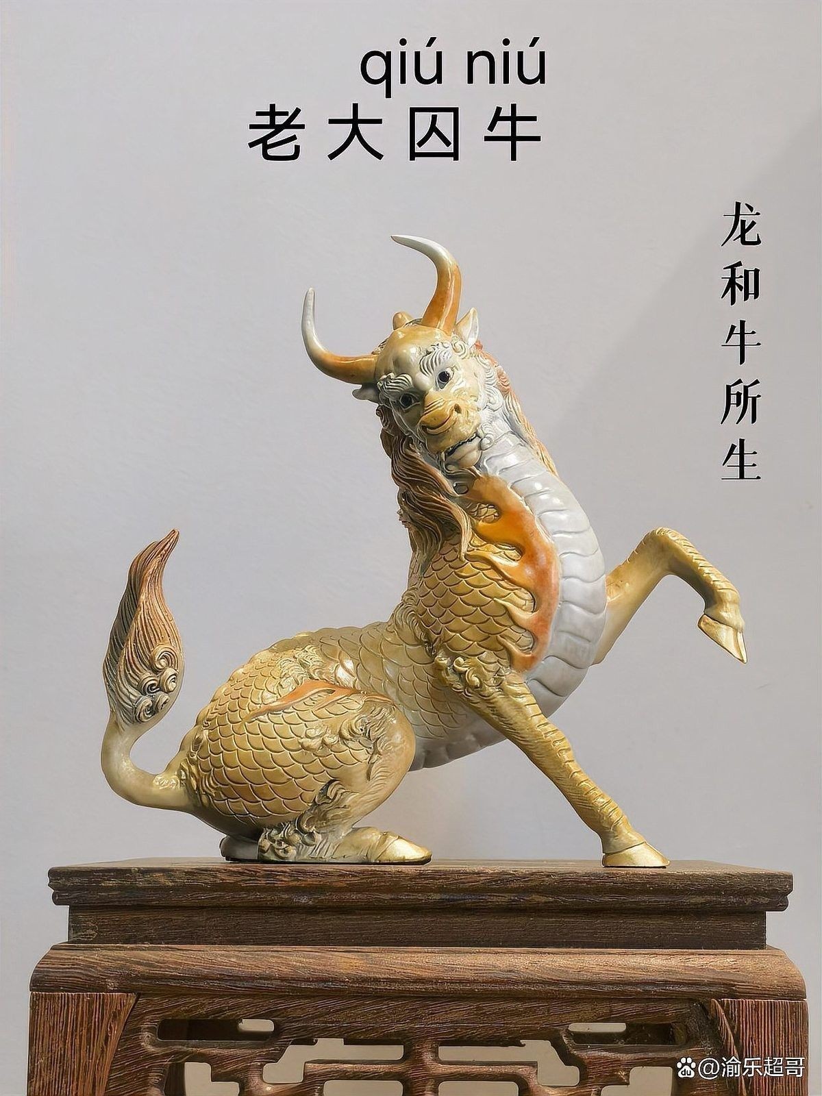 龍生與其他角色的關系如何？