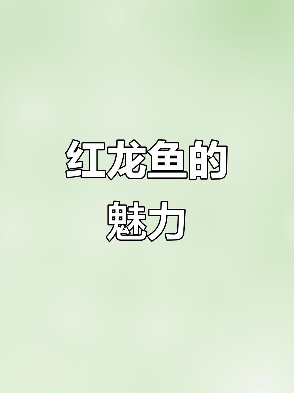 如何區(qū)分綠皮紅龍魚的品質(zhì)？