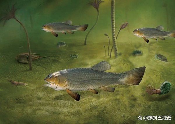 恐龍時代最古老的魚