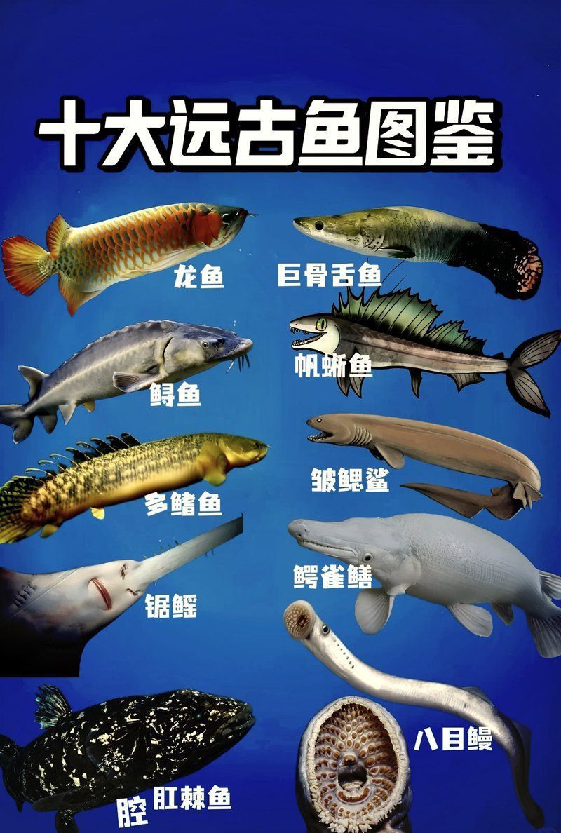恐龍時代最古老的魚