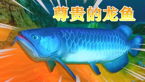 龍魚可以吃蜜蜂嗎：龍魚可以吃蜜蜂嗎，