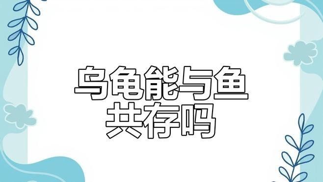 銀龍魚和黃頭龜混養好不好看