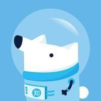 金龍魚一級和精選哪個檔次高