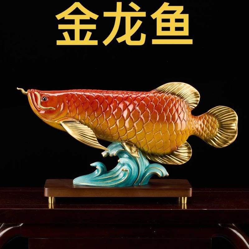 金龍魚為什么那么貴啊圖片