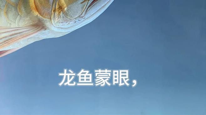紅龍蒙眼病的癥狀及治療