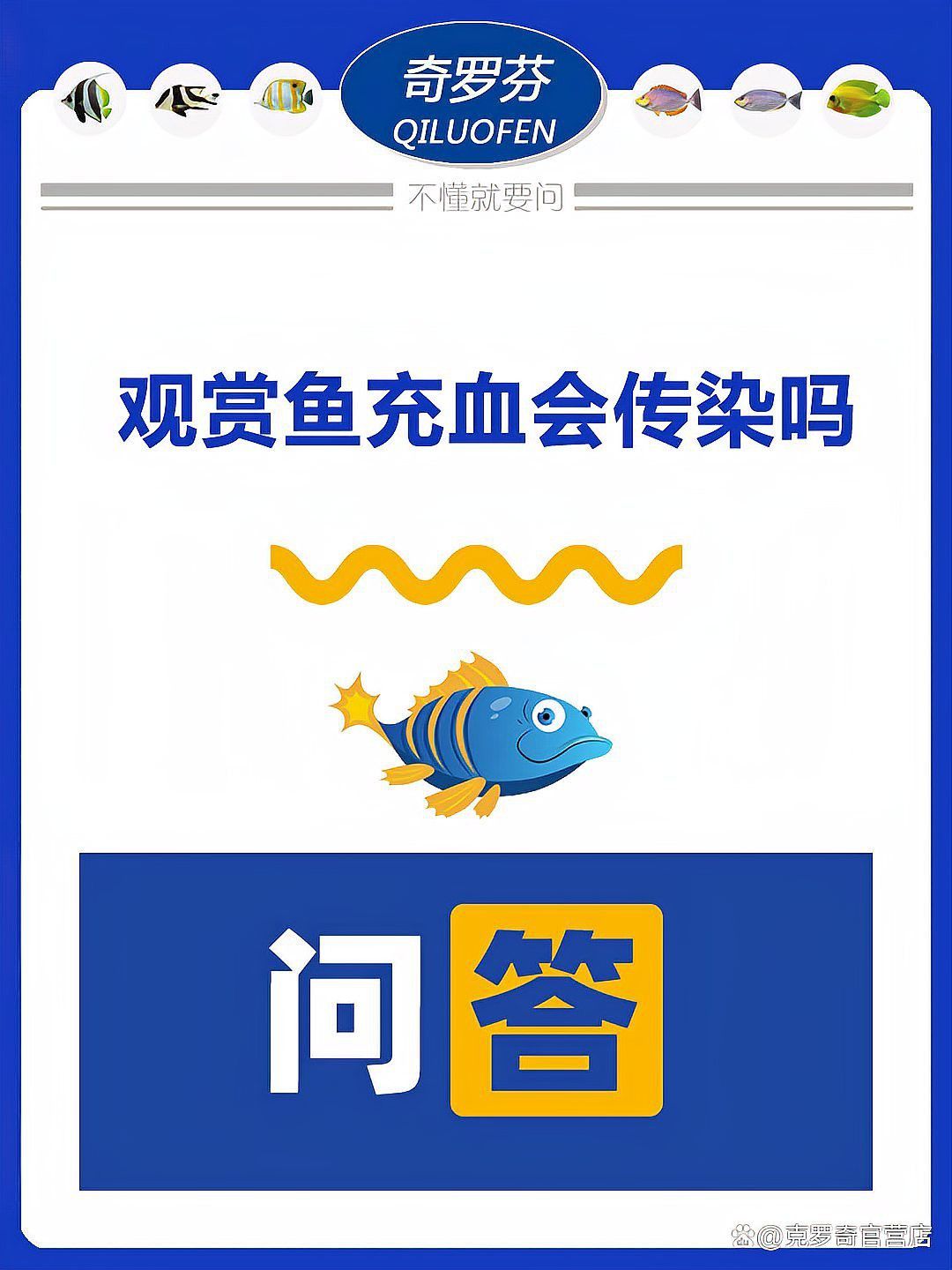 龍魚魚鰭充血會(huì)傳染嗎？