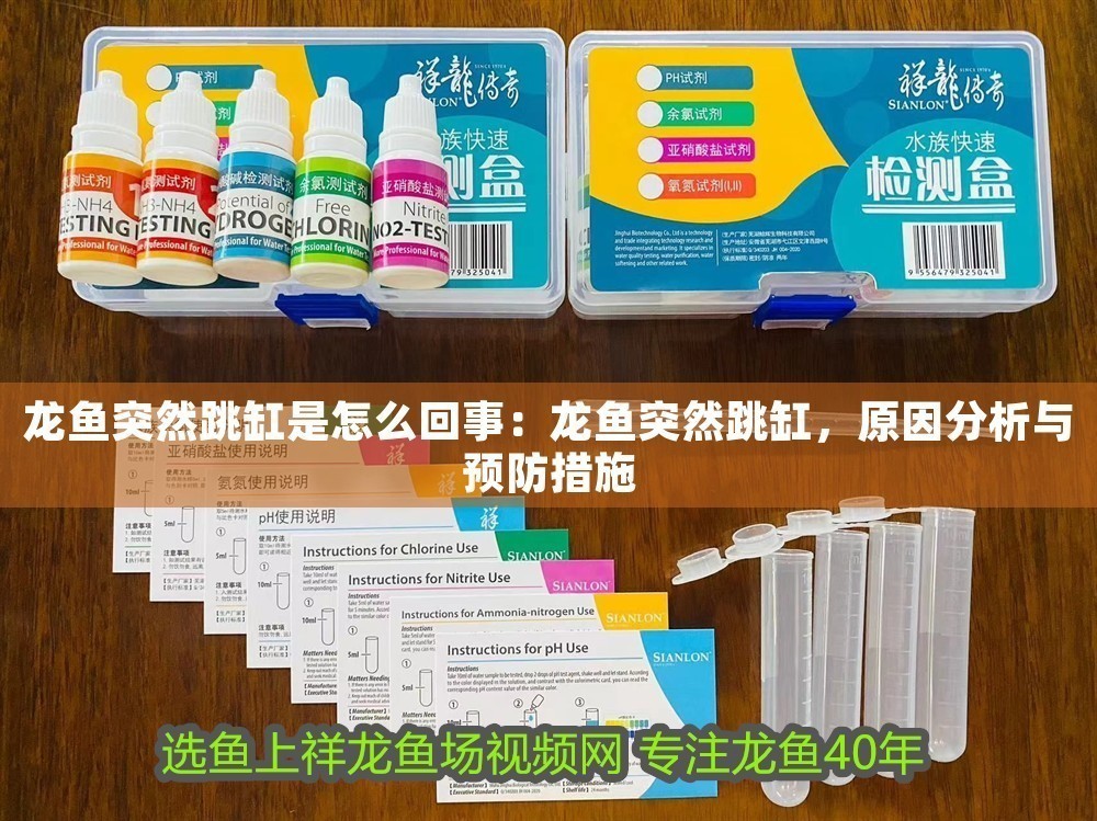 龍魚突然跳缸是怎么回事：龍魚突然跳缸，原因分析與預防措施