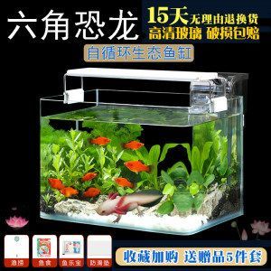 龍魚缸每小時循環的次數并沒有固定的標準：龍魚缸每小時循環的次數并沒有固定標準