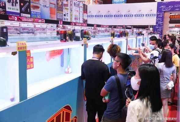 盤古杯世界龍魚錦標賽頒獎典禮，盤古杯世界龍魚錦標賽