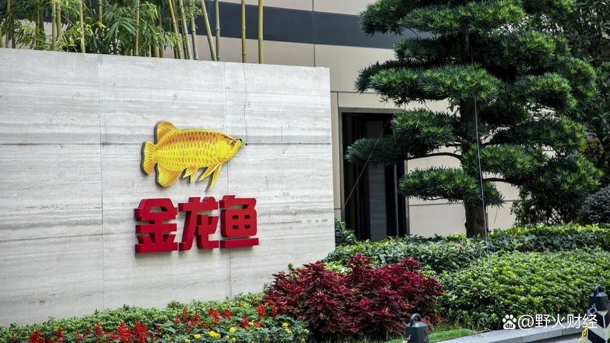 金龍魚總裁降薪的原因是什么？