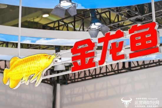 金龍魚總裁降薪的原因是什么？