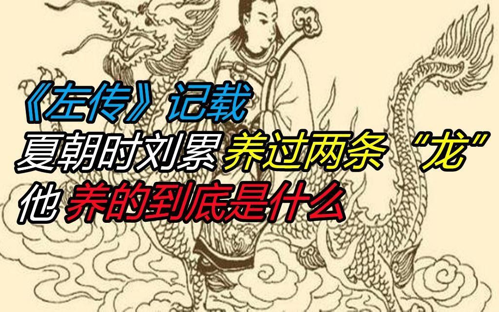 夏朝孔甲養龍傳說還有其他版本嗎？