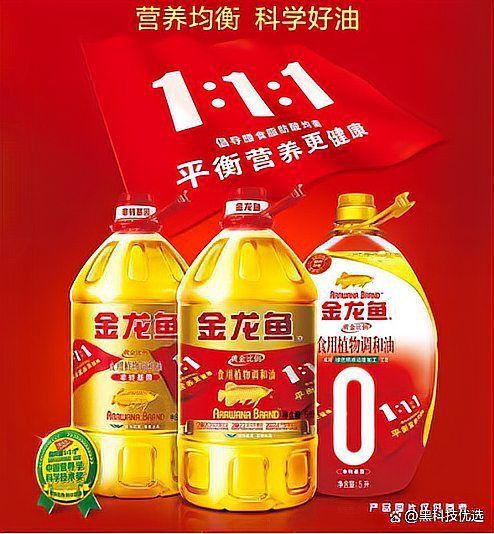 金龍魚(yú)排名前十