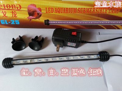 龍魚燈放在水里安全嗎（龍魚燈在水里安全嗎？）