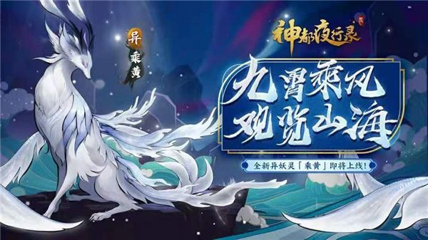 龍魚躁動不安預兆：如何通過觀察和了解龍魚的健康狀態