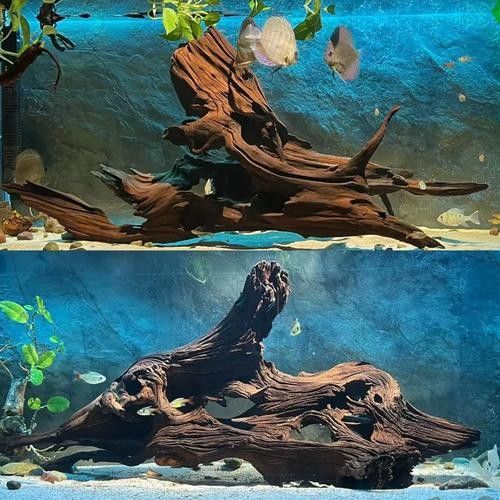 龍魚缸沉木