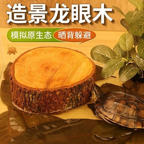 龍魚缸沉木