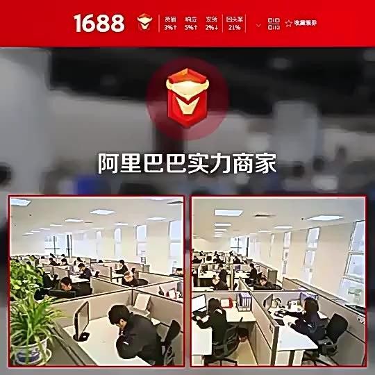 龍魚裝飾品的價格范圍是多少？