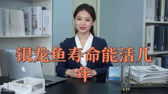 黃化銀龍魚怎么養才能活的久些