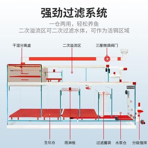 龍魚缸濾材搭配圖