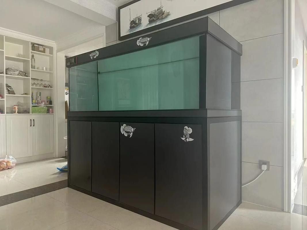 龍魚缸濾材搭配圖