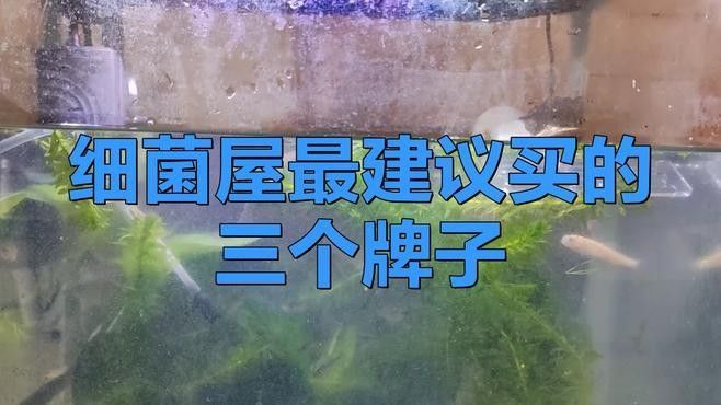 龍魚缸濾材搭配圖