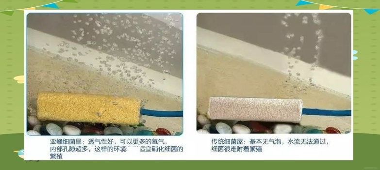 龍魚缸濾材搭配圖