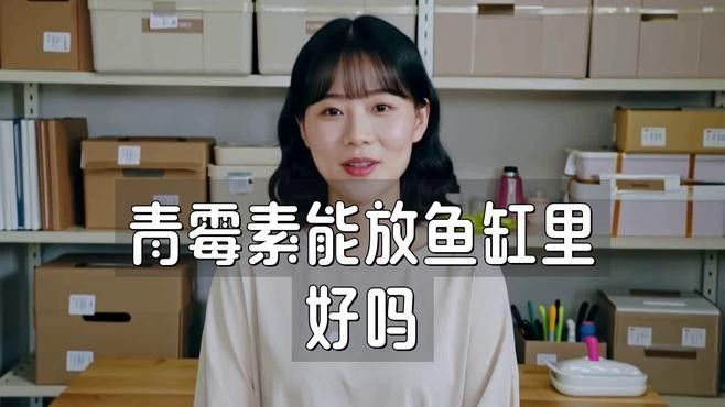 青霉素對龍魚的作用和功效