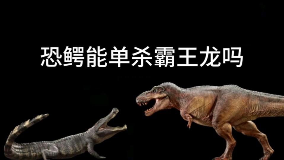 鱷魚和恐龍哪個(gè)更兇猛？
