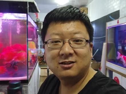 鯊魚可以和龍魚混養嗎圖片欣賞