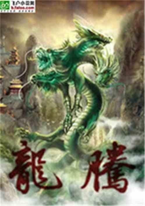 飛盧小說網的“龍騰”標簽是什么意思？