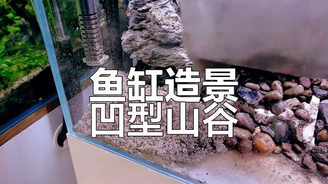 拔除鱗片后多久換一次水？
