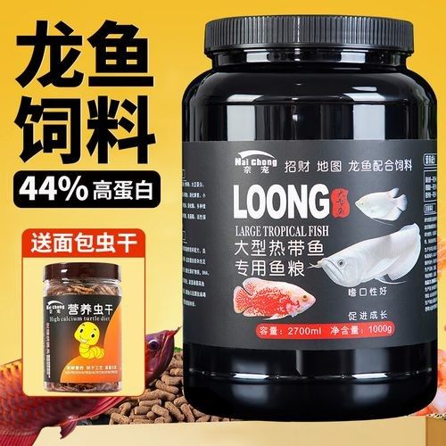 銀龍魚一般喂什么魚料最好