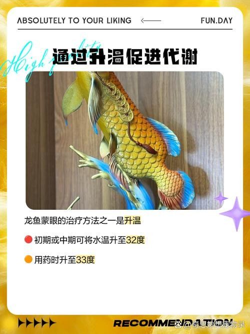 龍魚眼睛里面有白色的東西怎么辦圖片